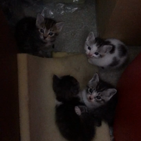 1ヶ月たちました！の画像