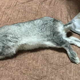 久しぶりにエアコン止めて…の画像