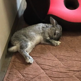 腫瘍か…の画像