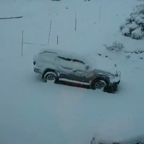 雪(⊙…⊙ )の画像
