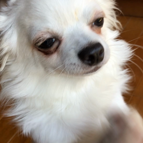 おやつタイムの画像