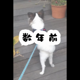 今昔物語の画像