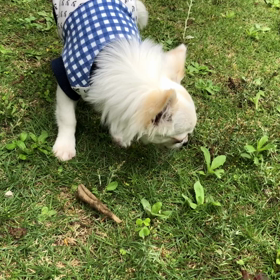 マッチョの画像