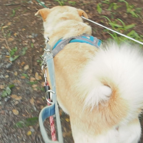 パパは、どこへ連れて行っても大丈夫！のサムネイル画像