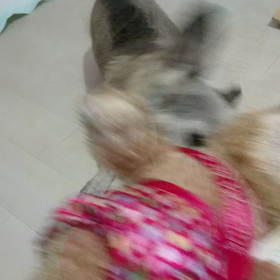 親友の画像