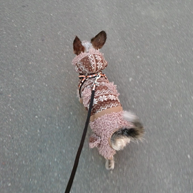 今日もの画像
