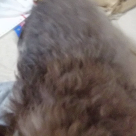 悩みの画像