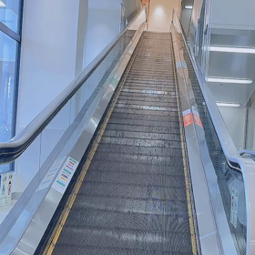 発見！！の画像