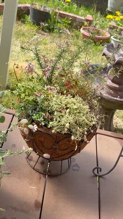 趣味はお花いじりの記事動画