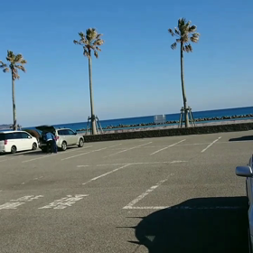2020/02/11の画像