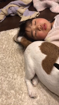 やられた。の記事動画