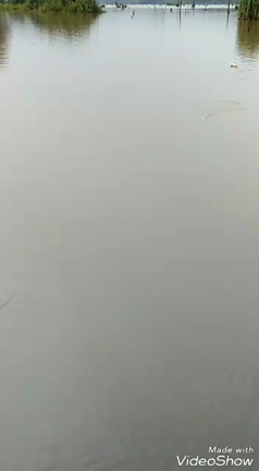 ジャンプフロッグSKIP15　動画の記事動画