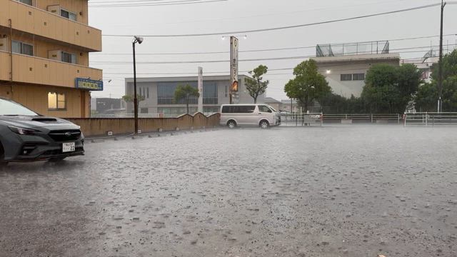 ウレシイで〜す❣️②の記事動画