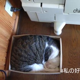 2025/10/18の画像