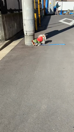 ２６０日周期が表すものの記事動画