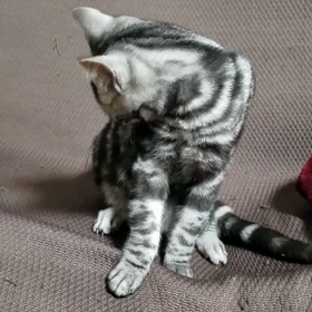 もう一度の画像