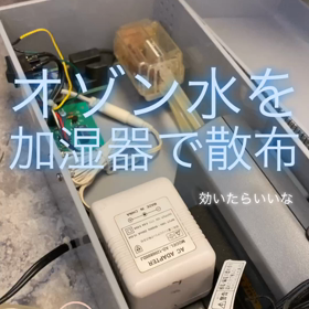 コロナ対策としてオゾン水加湿器稼働中！の画像