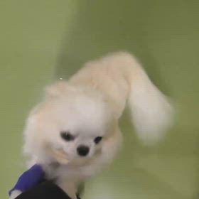 2025.7.13 看護師さんからの報告の画像
