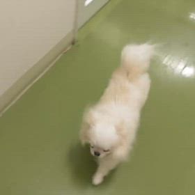 2025.7.15看護師さんからの報告の画像