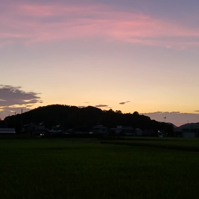 科学的という幻想と「コロナボケ」の画像
