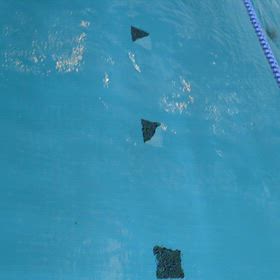 水泳個人レッスン、コーチ様様の画像