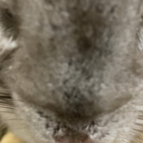 近いよぉwの画像