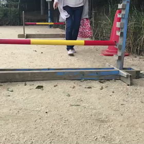 怖がりにさせちゃったのかなの画像