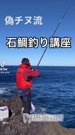 南房総 白浜 大根 2021/11/29の記事動画