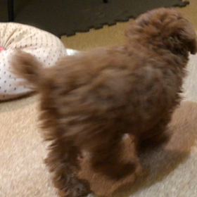 予防接種2回目の画像