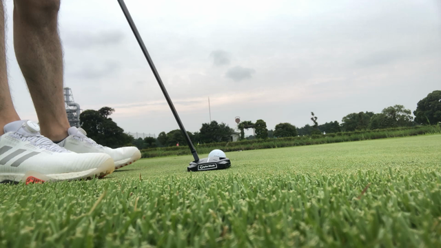 ゴルフでした⛳️の記事動画
