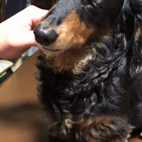 ちろる「の」です。の画像