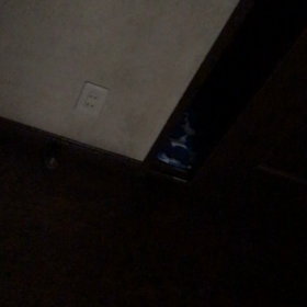 お気に入りの場所の画像