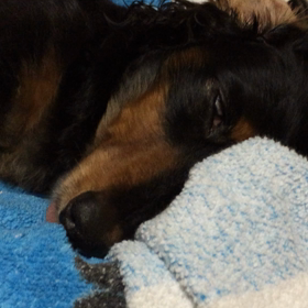 いつかの夜の動画の画像