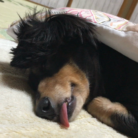 今日のちろるの画像