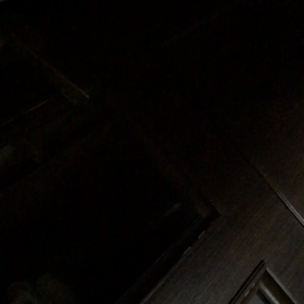 待たない犬の画像