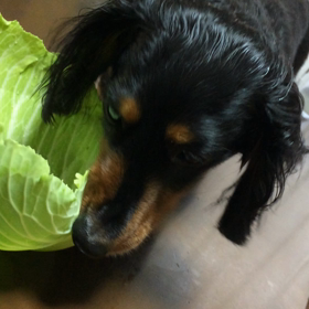 今日のおやつ？！の画像
