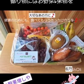 2024/06/19の画像
