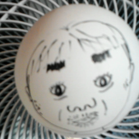 毎日がの画像