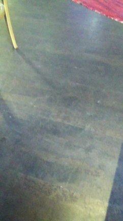 これが見たかったの記事動画