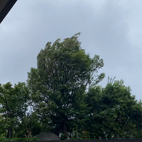 台風14号の画像