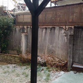 ついに、雪⛄が降る…の画像