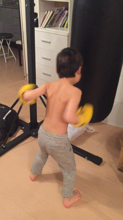 息子の記事動画