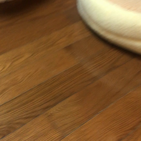 チャチャ　お誕生日おめでとうの画像