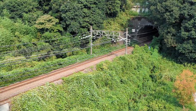 2025/08/18　新座タ行・変圧器輸送（シキ801B1）の記事動画