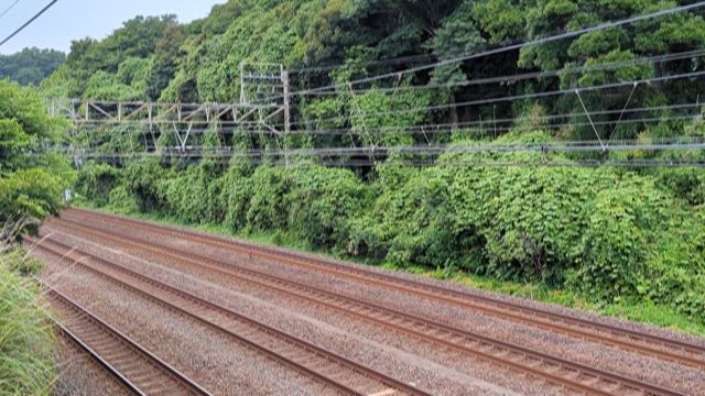 2025/07/01　マルタイ甲種輸送（JR東海・08-16SH）の記事動画