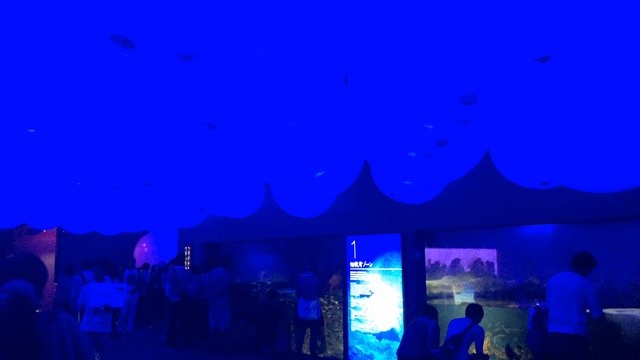 江ノ島 ☆ ナイトアクアリウムの記事動画