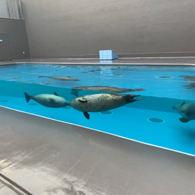 癒し映像  その2の画像