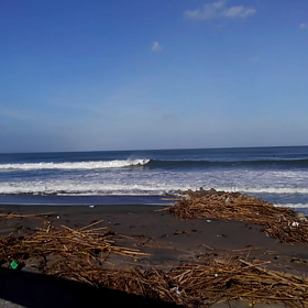 波乗りyeahの画像