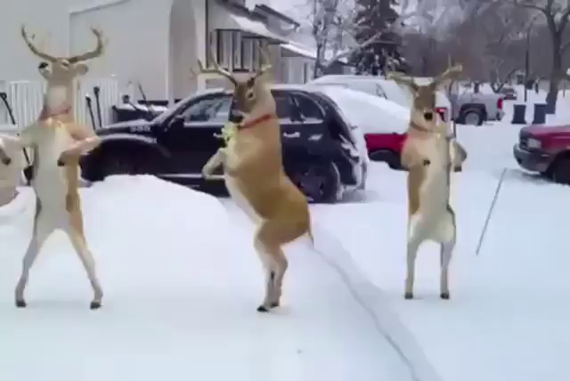 メリークリスマスの記事動画