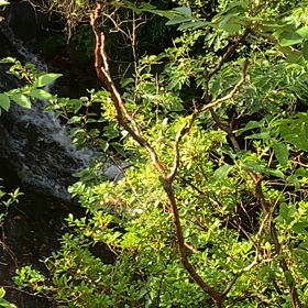 癒されての画像